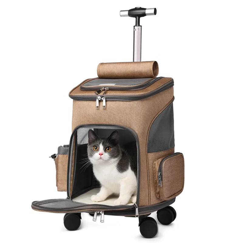 

JXPT1809T Manufacture PET Luggage Suitcase Case Custom Case Travel Bags Trolley Luggage, Brown or customized