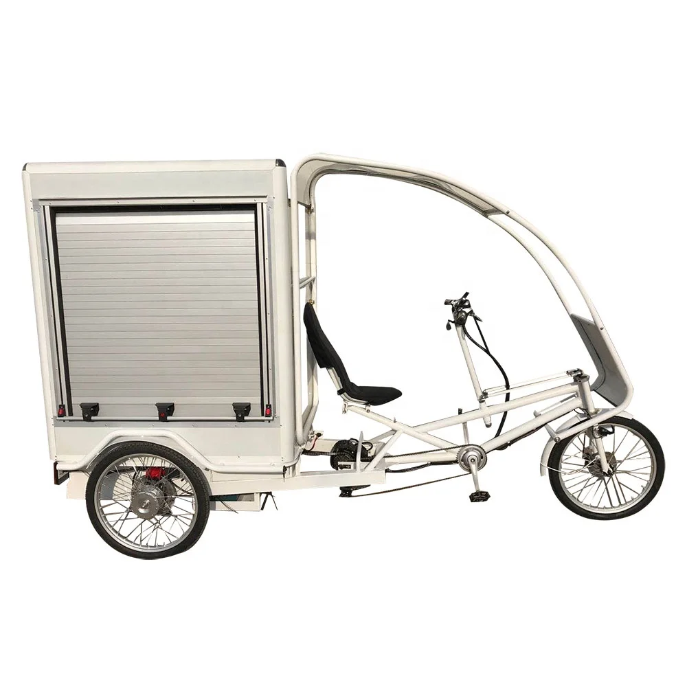 Электротрицикл Trike Cargo Box