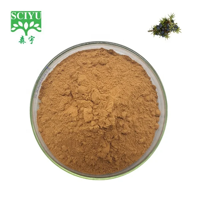 100 Natural Juniper Extract/juniper Extract Powder /juniper Berries