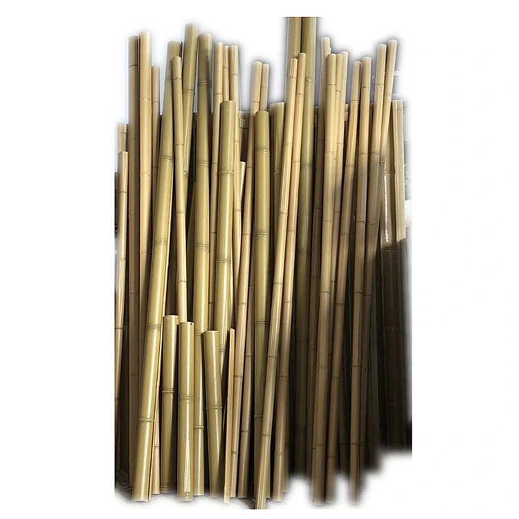 bamboo pole (1).jpg