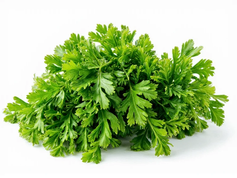 Dried to Fresh Parsley Ratio: Quick Cooking Conversion Guide