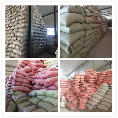 
ouji pure 361 ukraine sunflower seed growing 