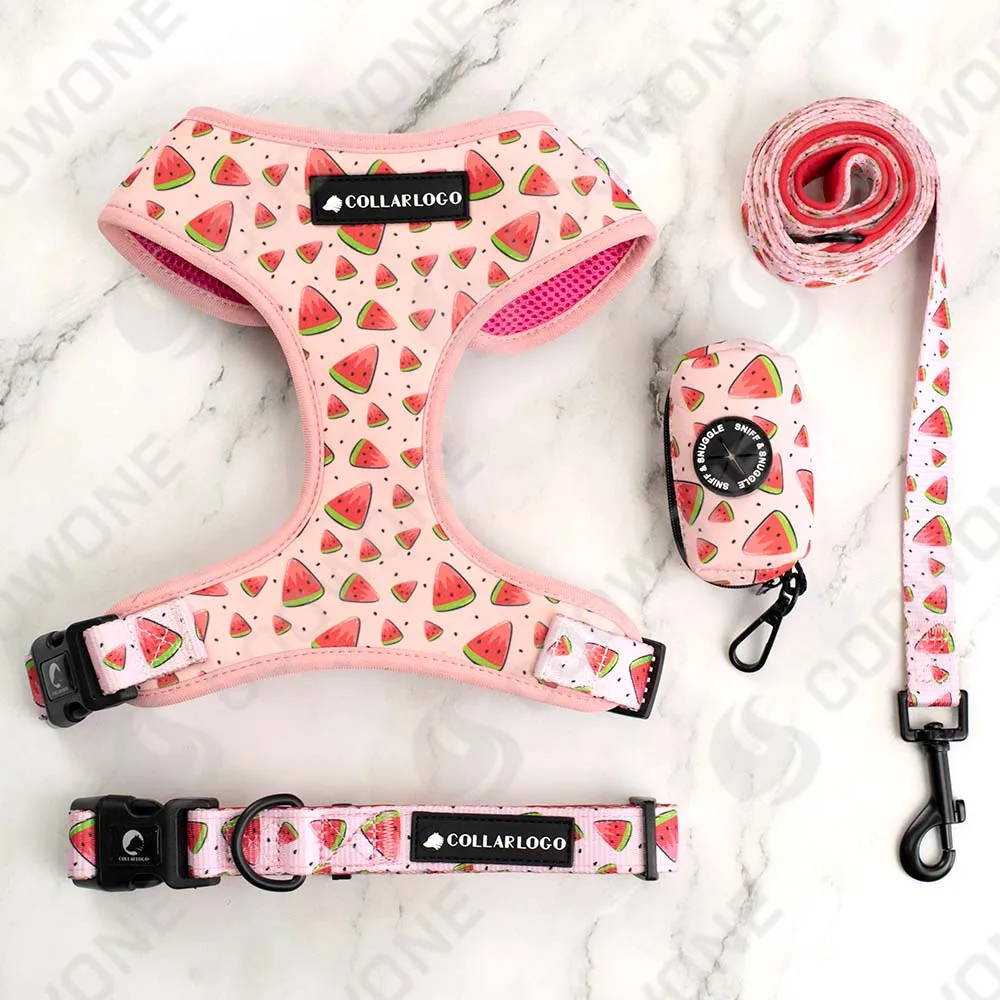 

2022 Custom Dog Harness Set Printed Neoprene Dog Harness Mesh Padding Dog Harness Collar and Leash Set