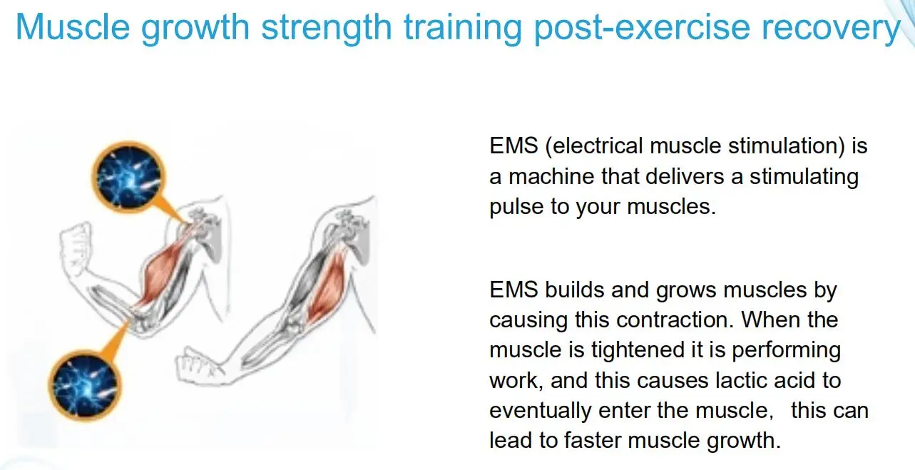 EMS muscle training machine.jpg