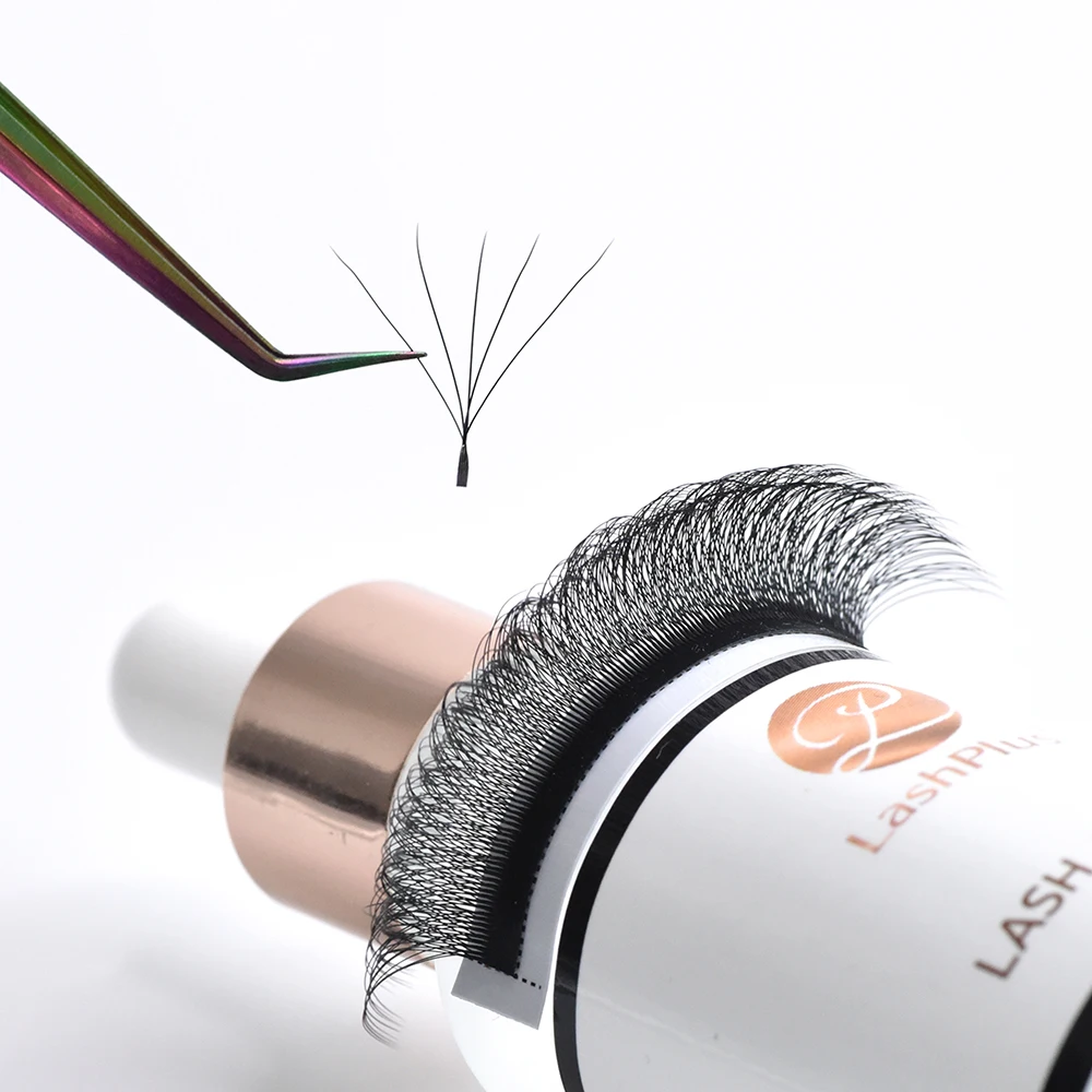 

LashPlus wholesale private label preamade fans volume eyelash extensions supplies YY 3D 4D 5D W lashes