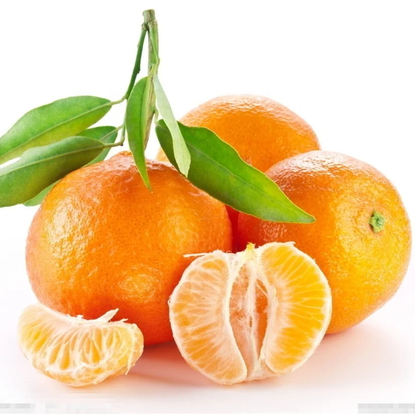 S614 Ju Zi Top Quality Tangerine Seed For Planting Buy Tangerine Seed