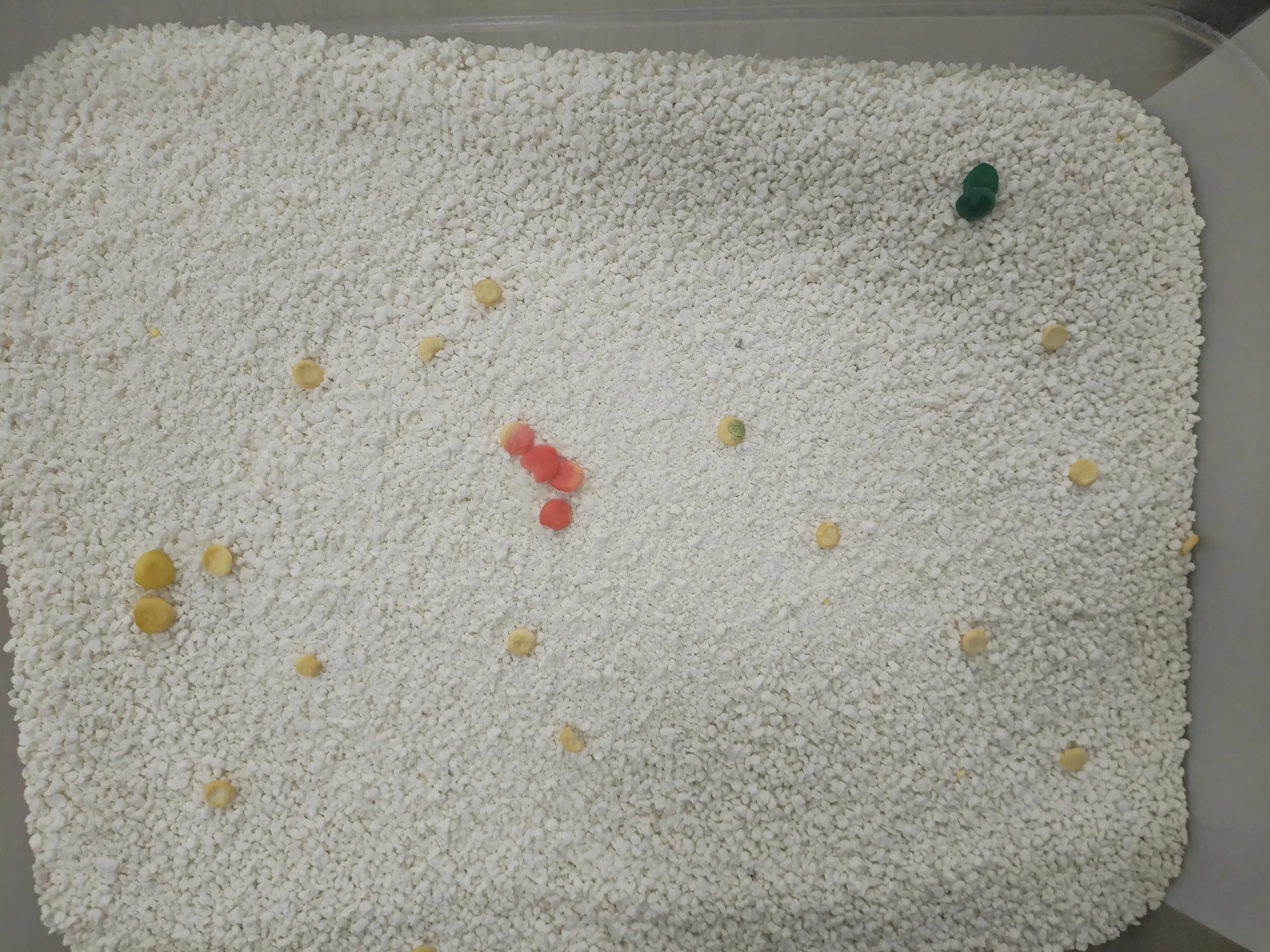 Cassava-based health monitoring litter with fine indicator granules showing red, yellow and green color reactions