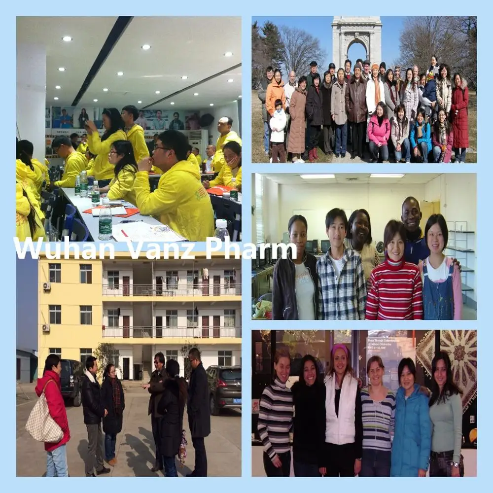 
Raw Material Estradiol Enanthate / Oestradiol 17-heptanoate CAS 4956-37-0 in stock 