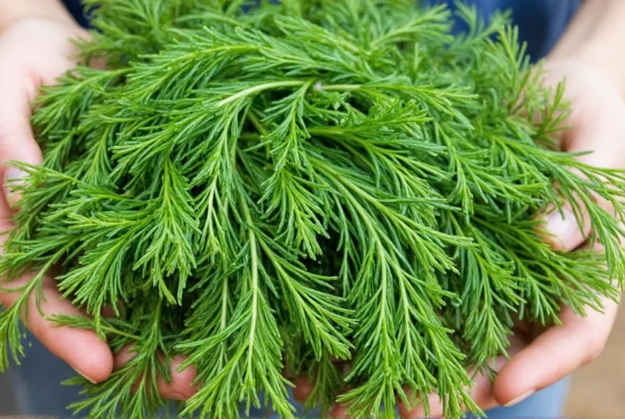 dill weed no problem 10 smart subs for dill weed how to store them like a pro