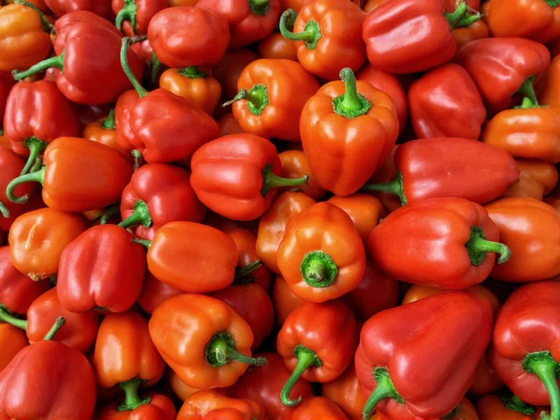 Pepper Types: Complete Guide to Varieties and Heat Levels