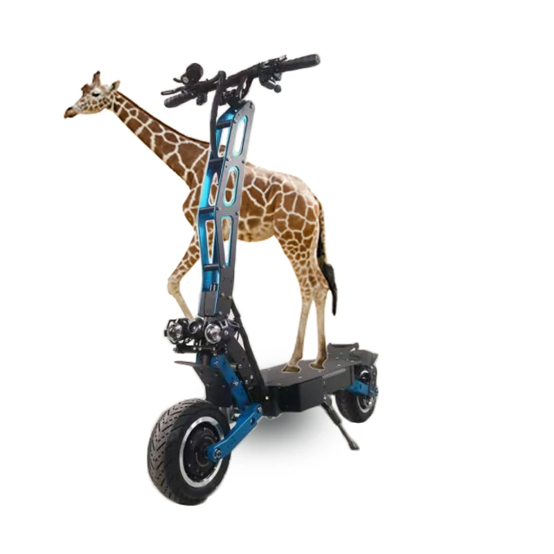 

hot selling 6000w electric scooter disabled in turkey