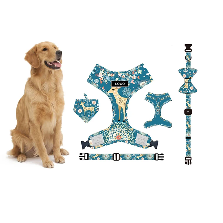 

Adjustable Dog Accessories Sublimation Dog Harness Set Custom Personalized Pet Supplies 2021 Dog Chest Harness Collar and Leash, Customized color