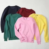 

500GSM Fleece Bulk OEM Fashion Basic Men Hoodies Sweatshirts Blank Gym Hoodie