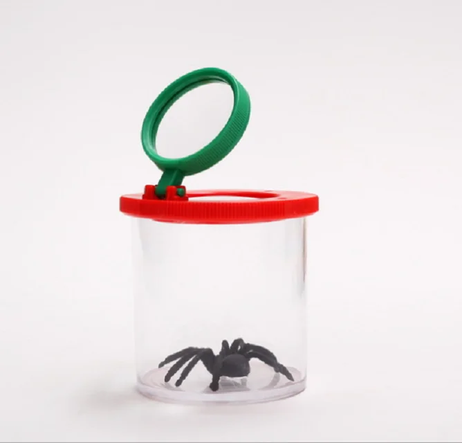 

Insect observer magnifying glass Education Toy