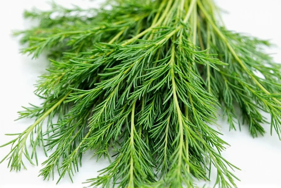 Parsley Bunch