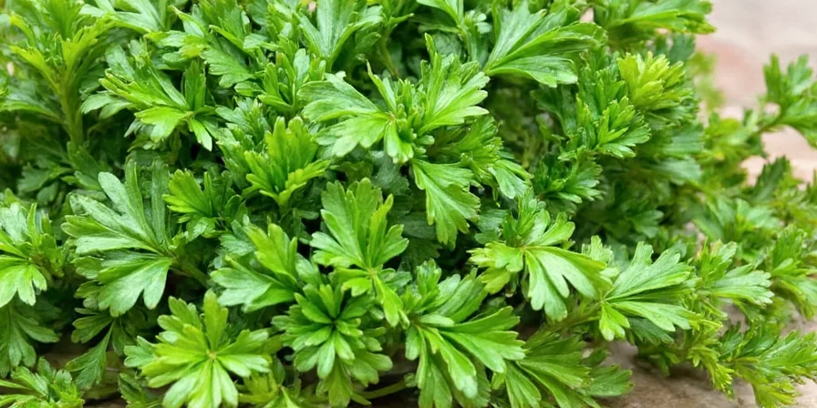 Herb substitution chart infographic