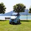 electric car 3 seater EEC COC cheap chinese mini electric vehicle