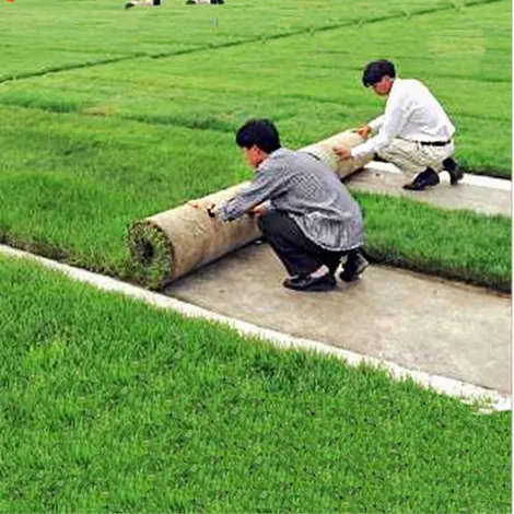 

Chinese High Quality Wholesale Garden And Home Landscaping Decoration Buffalo Artificial Turf Grass For Garden
