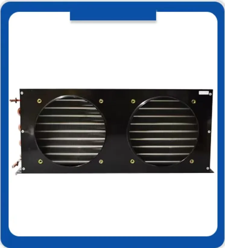 Cold Storage Container Freezer, SGS, 20ft - detail 12