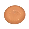 Home decoration LED smart ceiling light multi-color visual effects