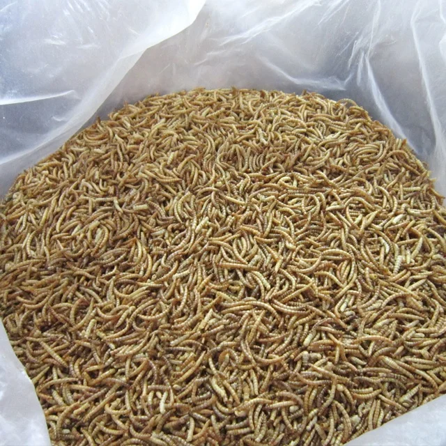 
Dried Mealworms High Protein Customised Birds Food for Fishes Reptiles in Bags 100g Factory Directly Supply 