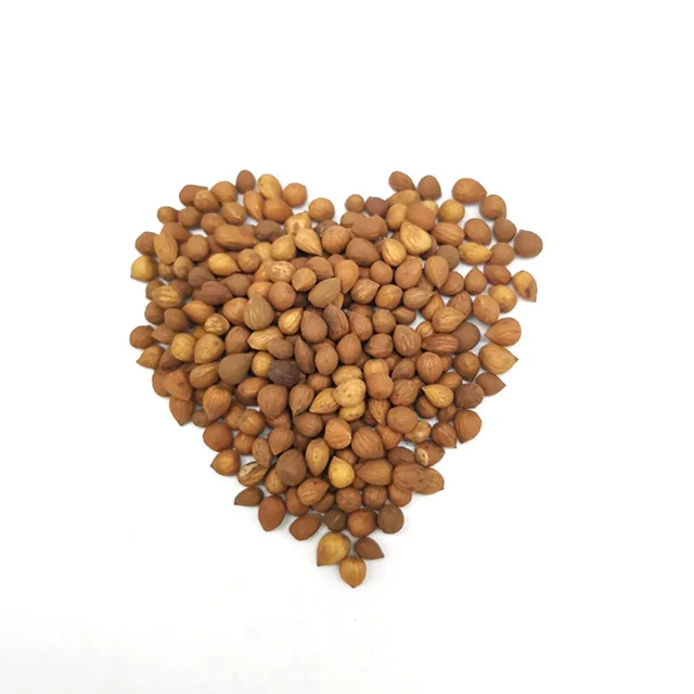 
GMP Factory supply Chinese Bushberry seed 