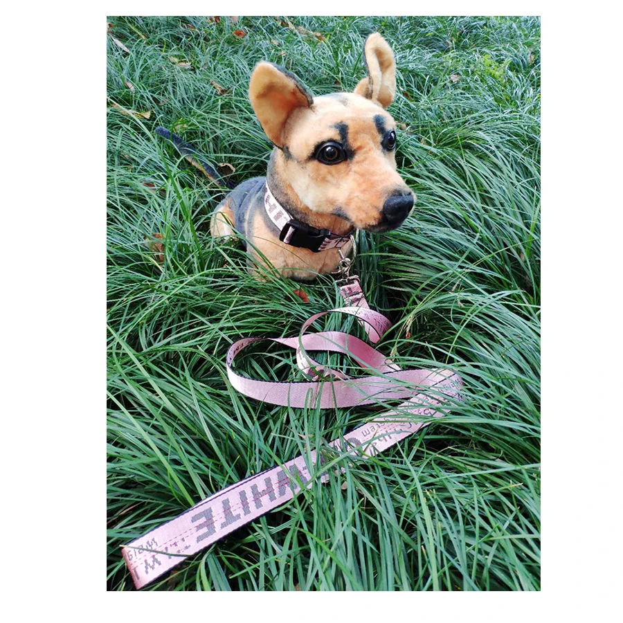 

G1A Designer Hand Made Adjustable Gold Luxury Training Nylon Pet Dog Chain Buckle Collar And Leash Set, 8 colors