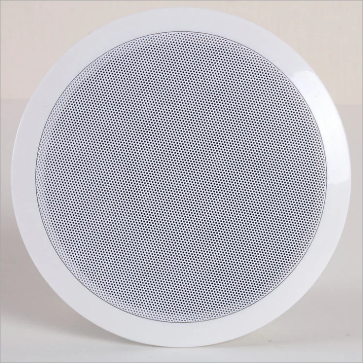 Full Range In-Ceiling Ultra- Thin Celling Speaker with 8m wire - ANKUX.COM