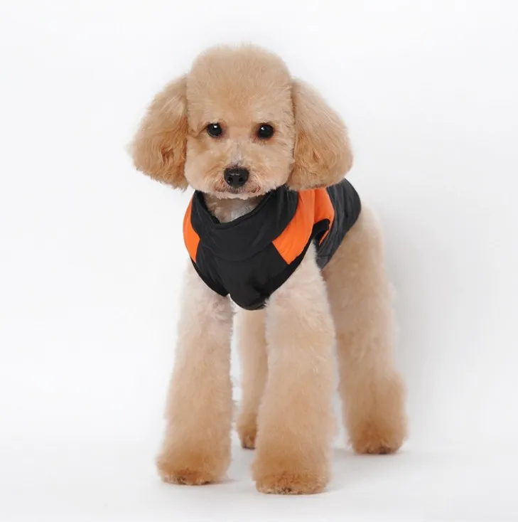 

VK117-Popular warm ski dog vest in autumn and winter, Photo