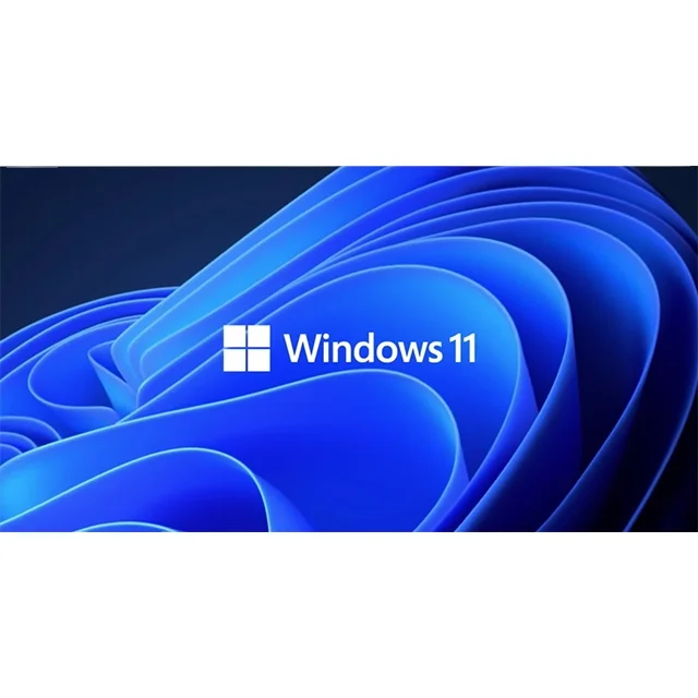 

Win 11 Professional Win 11 Pro KEY Mail or Ali delivery