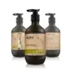 /product-detail/customized-japan-shampoo-natural-argan-oil-tea-tree-oil-ginger-shampoo-62223432645.html