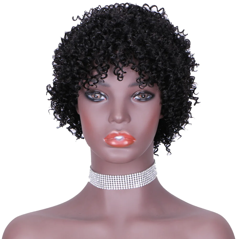 

lace front human hair kinky Afro curly brazilian wigs