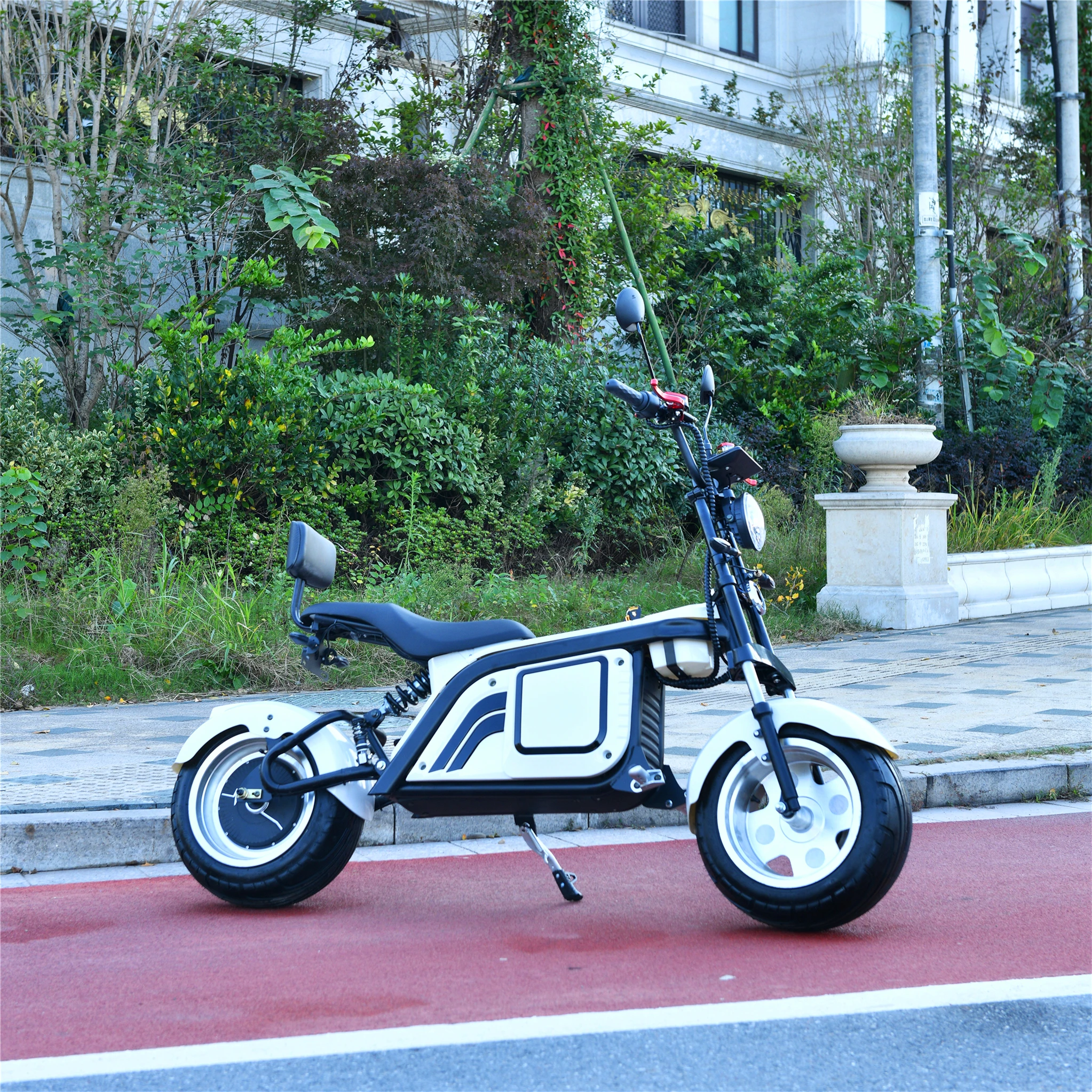 

High Quality Eco-Friendly China Factory Witcitycoco Citycoco 2022 2000W