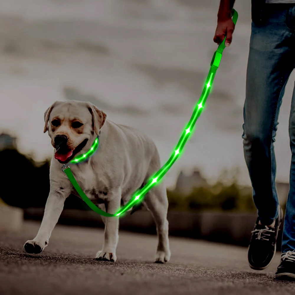 

Tize Custom Logo Amazon Top Seller Night Safety Flashing Glow In The Dark Led Nylon Pet Dog Leash, Red, green, blue, white, orange, yellow, pink