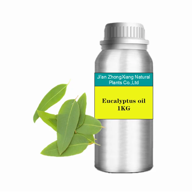 

24 Hours Lead Time 100% Pure Natural Eucalyptus Oil for Aromatherapy Toothpaste Mouthwash Farm Gardening