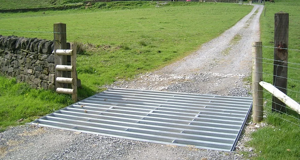cattle gird 05.jpg
