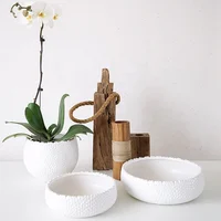 

Wholesale Modern Creative Simple Wave Dot Plant Orchid Pot White Half Round Ceramic Planters Flowerpot