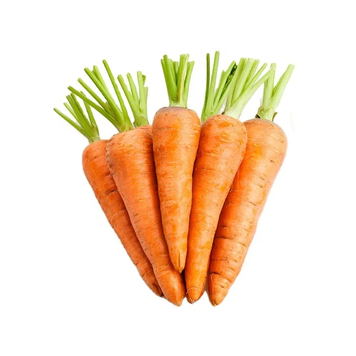 
10kg Bulk Carrots to Vietnam market 