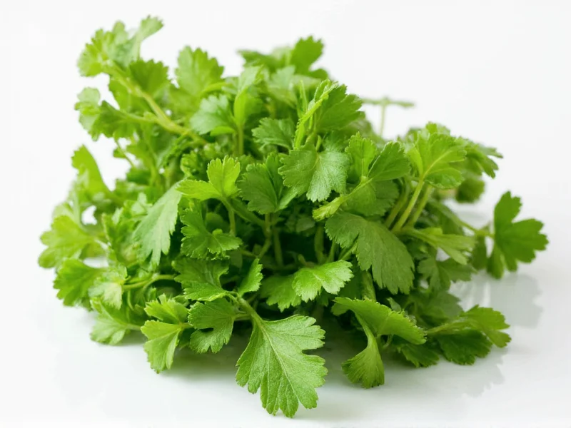 Best Alternatives to Coriander: Practical Substitutes for Every Kitchen