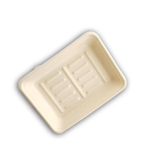 disposable food tray