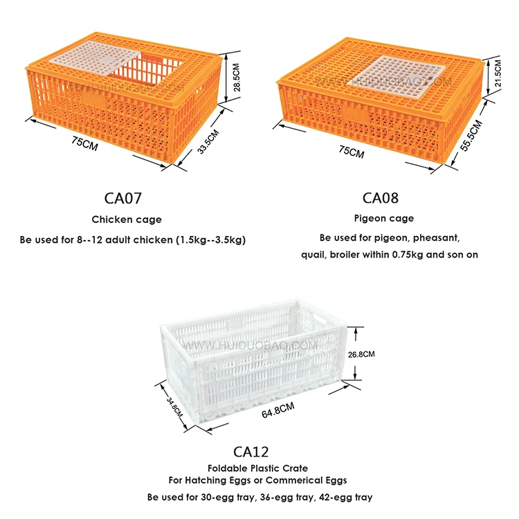 Quality Transport Plastic Chicken Cages For Sale Live Chicken Transport