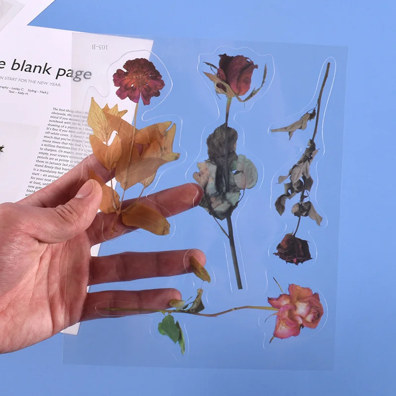 

DIY simulation transparent dry flower filling decorative material paper handbook paste