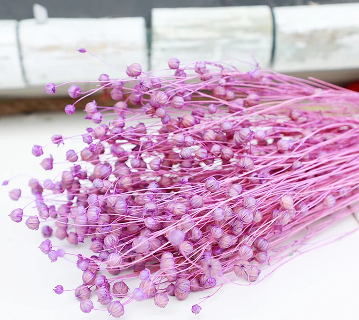 Natural Real Fresh Eternal Dried Flowers Jequirity Bean Jumblebeads