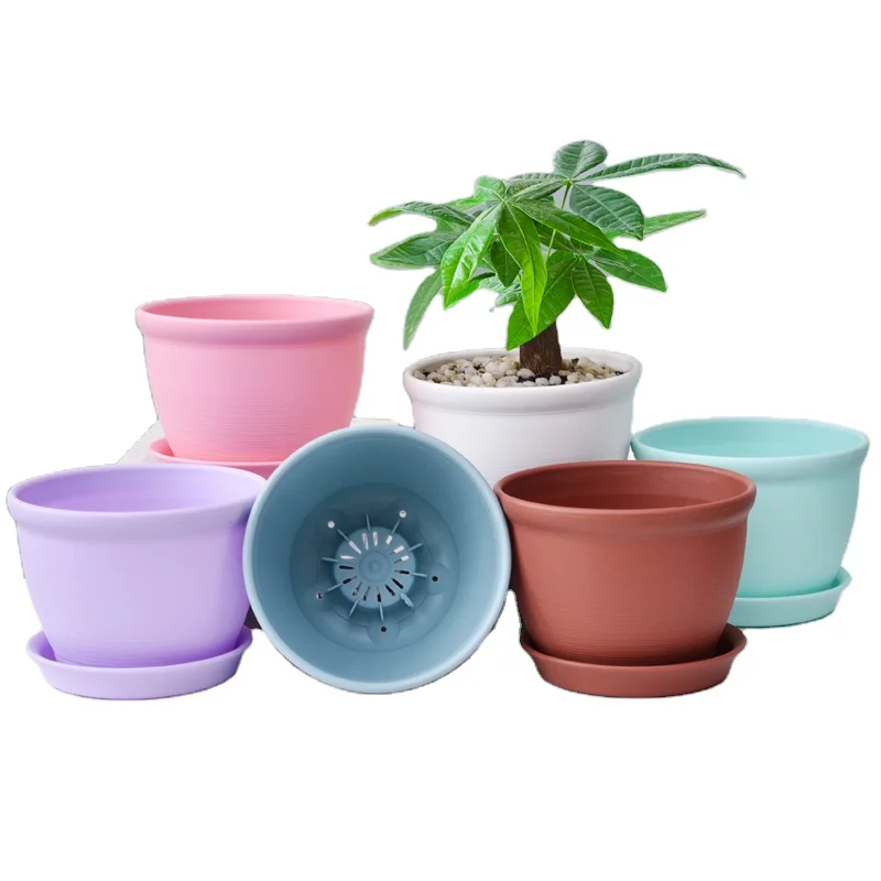 

Modern Decorative indoor outdoor wholesale succulent cactus flower pots colorful plastic tall plant pots, Creamy white