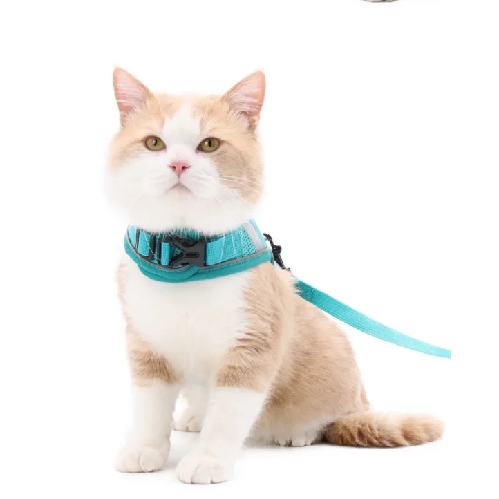 

China Factory Pet Accessories Durable Adjustable Custom Pattern Nylon gold dog Pet Collar and Leash, Customized color