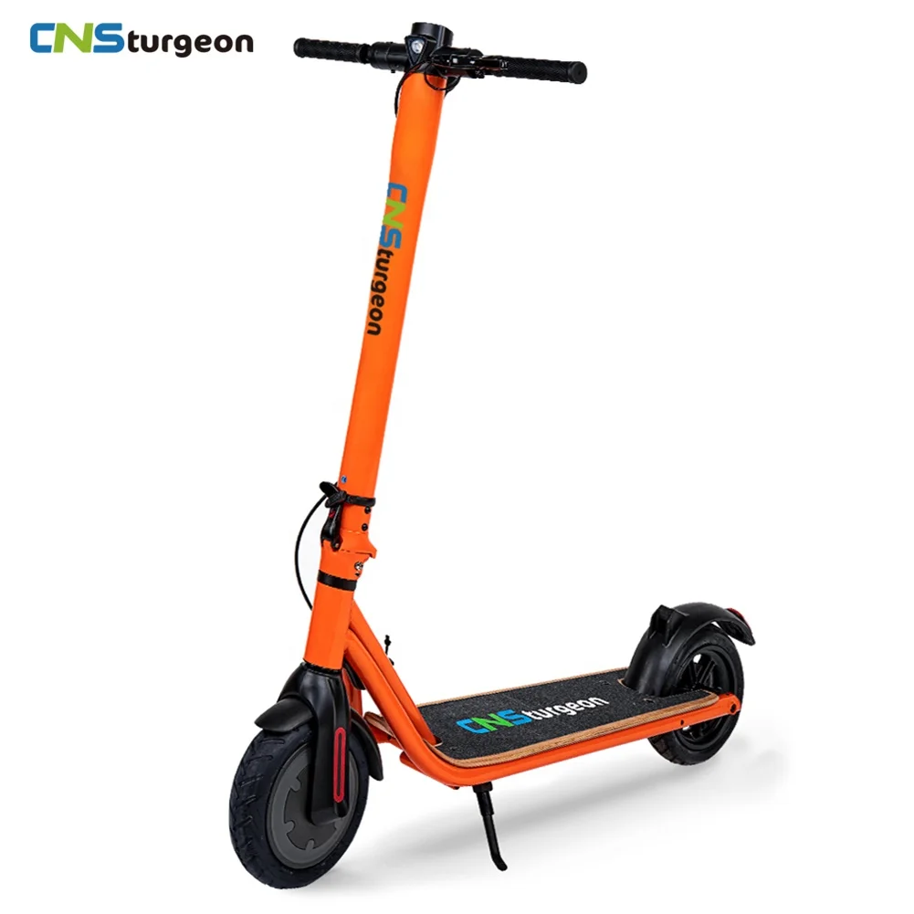 

Origin China Factory Overseas Warehouse Lightweight 12.5KG 250W 7.5Ah Scooter Electric Adult Escooter