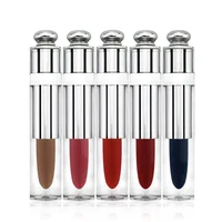 

24 colors custom no logo label private label pigment matte lipgloss