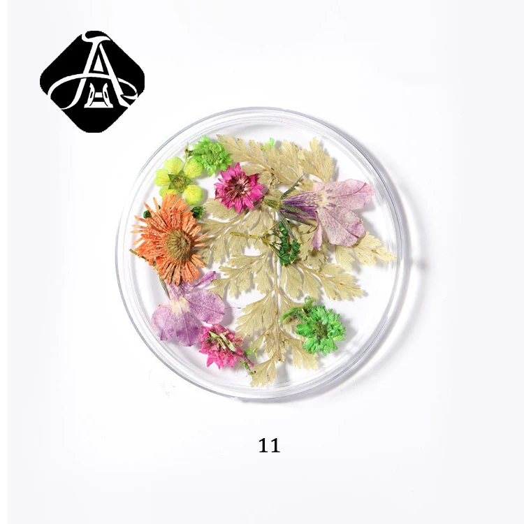 

AH Natural Real Pressed Dried Flowers Dry Grass Flowers Nail Decoration, 22designs