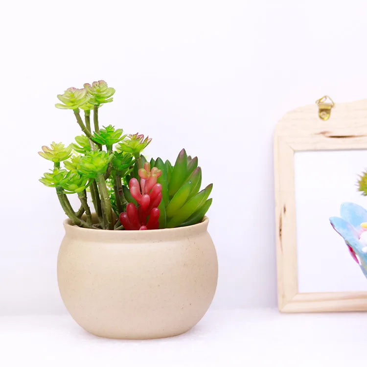 

Potted Packaging For Indoor Decoration Of Succulent Plants