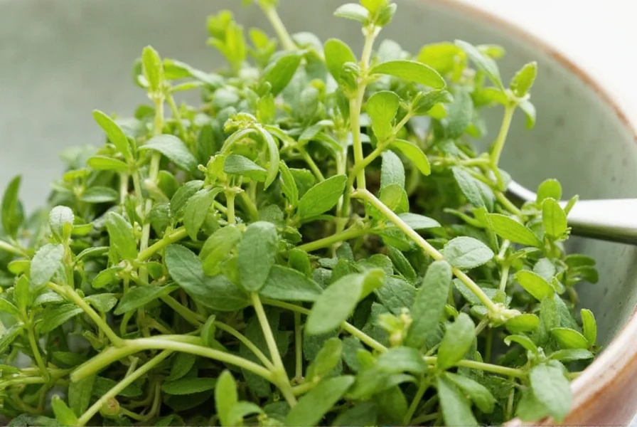 Marjoram Sprig on Wooden Board